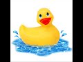 Le Petit Canard Le Petit Canard