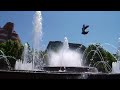 el viaje del agua   waters journey   madrid