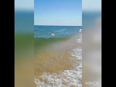 Голубицкая, Азовское море, пляж июль 2020