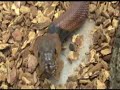 More fun with Spitters