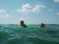 woodham key largo marine biology expedition
