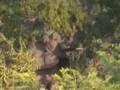 South Africa Dramatic Movie Trailer