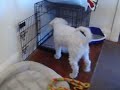 11/18/2008 Playin\ 11/18/2008 Playin\
