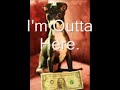 Italian Greyhound