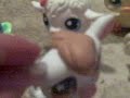 Webkinz Petting Zoo part 2
