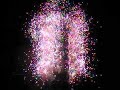 2008 Taipei 101 New Year Fireworks Fireworks display on Taipei 101 for 2008 New Year celebration in Taipei City, Taiwan.