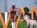 P�nico no Rally de Jeg - Turv�nia-Go