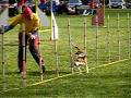 videos de Trapper, 2. MA3, Dubenec 2007