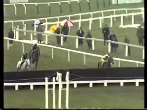 racing results cheltenham