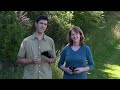 Understanding Binoculars: Fit and Focus