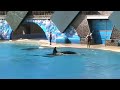 Sea World - Believe Pt.3
