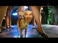 Korn - Word Up