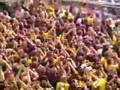 Dortmund Derbysieg!!!