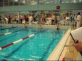50 backstroke iris visser
