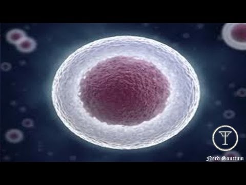 how to cure everything