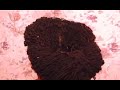 WarmSpirit for SisterLocks Dreadlocks Natural Hair & Locs #4