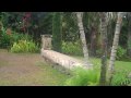 garden of eden.MP4