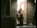 Hilarious-halloween-