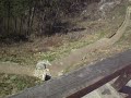 Rasnov