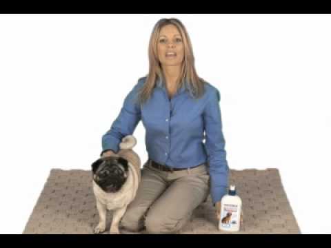 how to cure hotspots on dogs