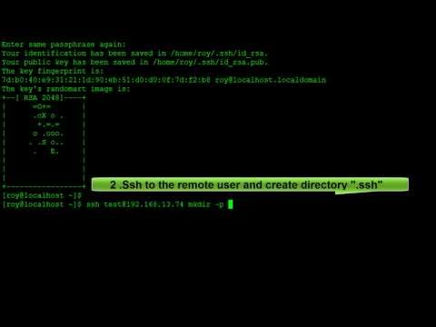 how to provide password in ssh command