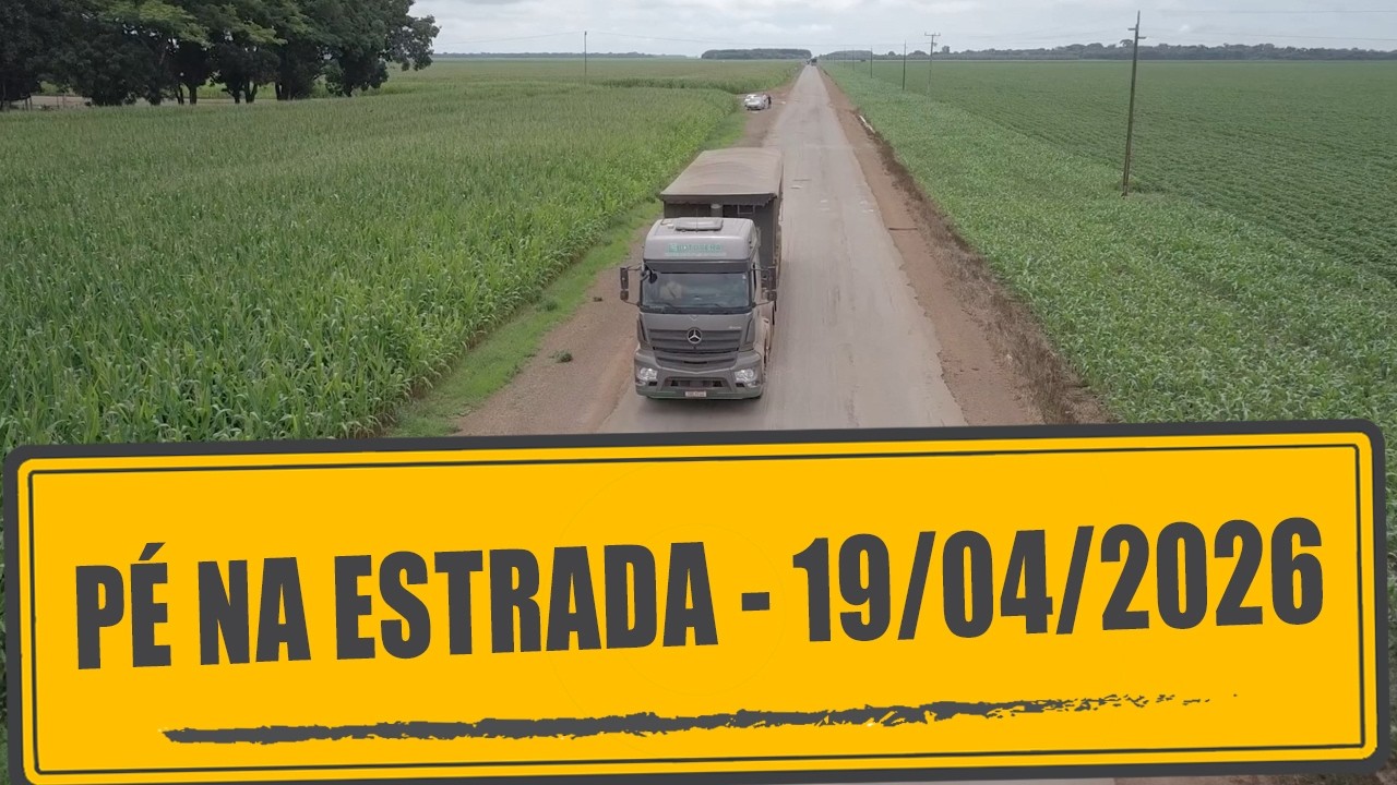 Versatilidade do milho e revisão por erro do INSS