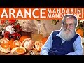 Dott. Mozzi: Arance, mandarin...