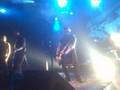 Broilers-Zusammen-li