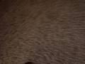 videos de Learning to walk