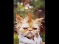 watch if ur bored...... i like it anyway