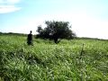 Searching for Anaconda in Pampas, Amazon Basin ...