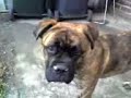 denzil 5mnth