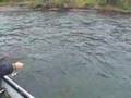 Washington Fishing Steelhead Salmon Pt1