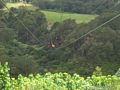 Sabrina Bryan Vidblog 53: Ziplining in Hawaii