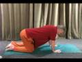 Basic Hatha Yoga : The Yoga Cow Pose