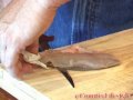 Pt2- On the Water with Eric: The Canadian Filleting Method Pt2- On the Water with Eric: The Canadian Filleting Method