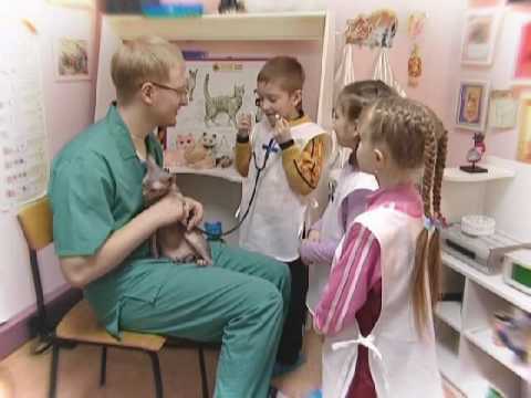 Смотреть видео