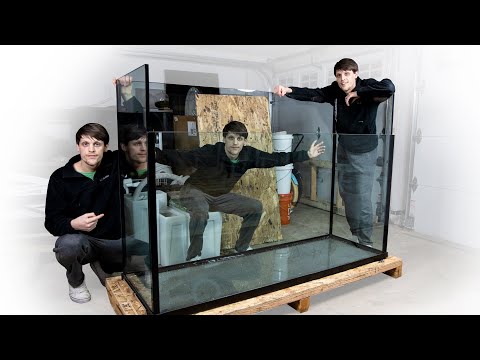 YouTube reptile video