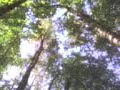 Campo pata ignao 6 Campo pata ignao 6
