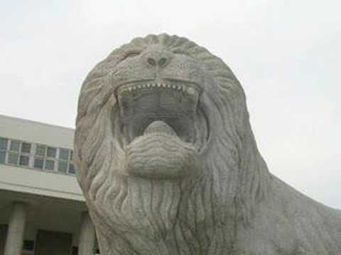 Hanyang lion