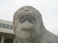 Hanyang lion Hanyang lion