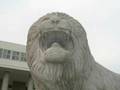 Hanyang lion