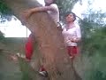 dulce y tania en el arbol xD