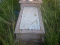 tumba de la hija de pancho villa tumba de la hija de pancho villa