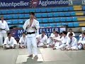 Patrick Roux - Tachi waza