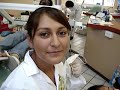 Clinica Dental \"Negligencias\" Clinica Dental \"Negligencias\"