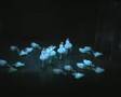 Swan Lake Staatsballett Berlin