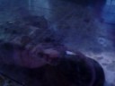 Boa constrictor comiendo un raton en la FMVZ UADY 2.