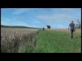 Crop Circles