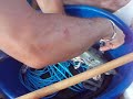 peche d'un baracuda 2
